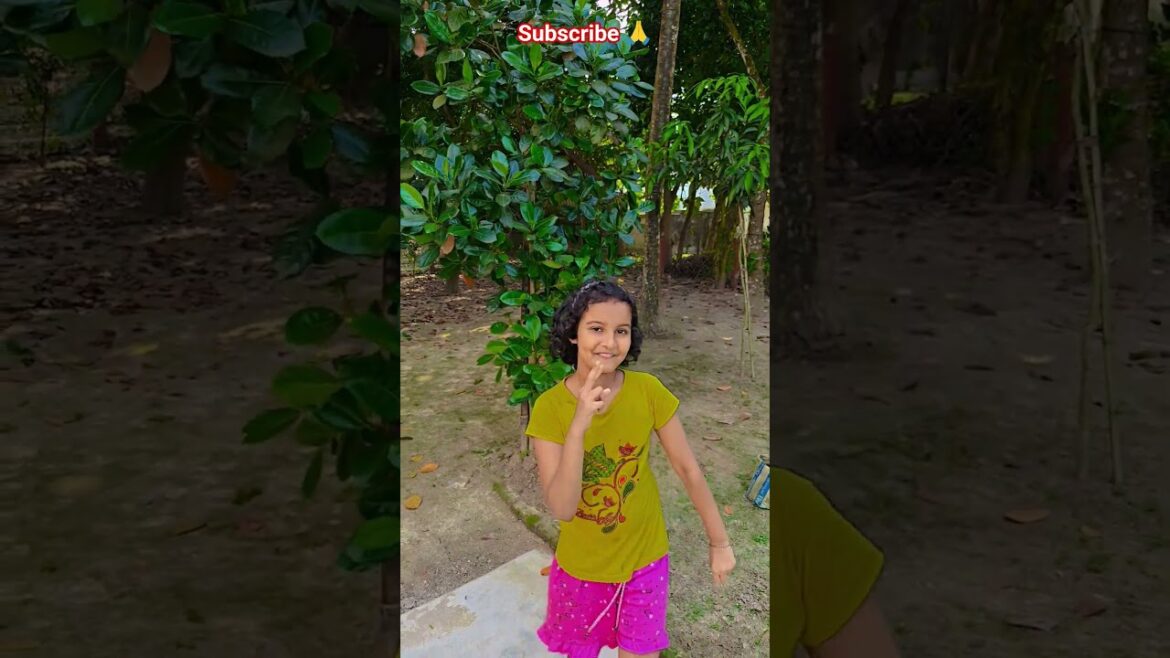 Boiddor Tabij #gardening #youtubeshorts #UpdateGardening #garden #youtubeshort #flowers Boiddor Tabij #gardening #youtubeshorts #UpdateGardening #garden #youtubeshort #flowers