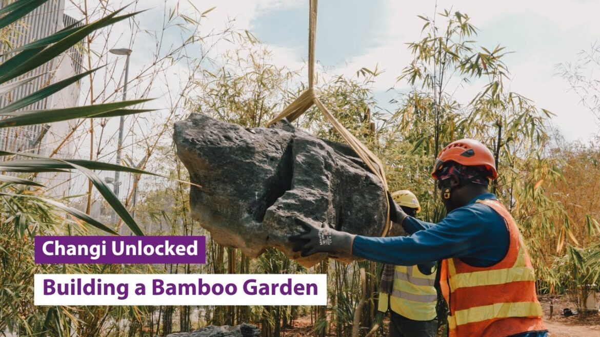 Changi Unlocked: Behind the Garden Design at Changi Airport’s Bamboo Grove Changi Unlocked: Behind the Garden Design at Changi Airport's Bamboo Grove