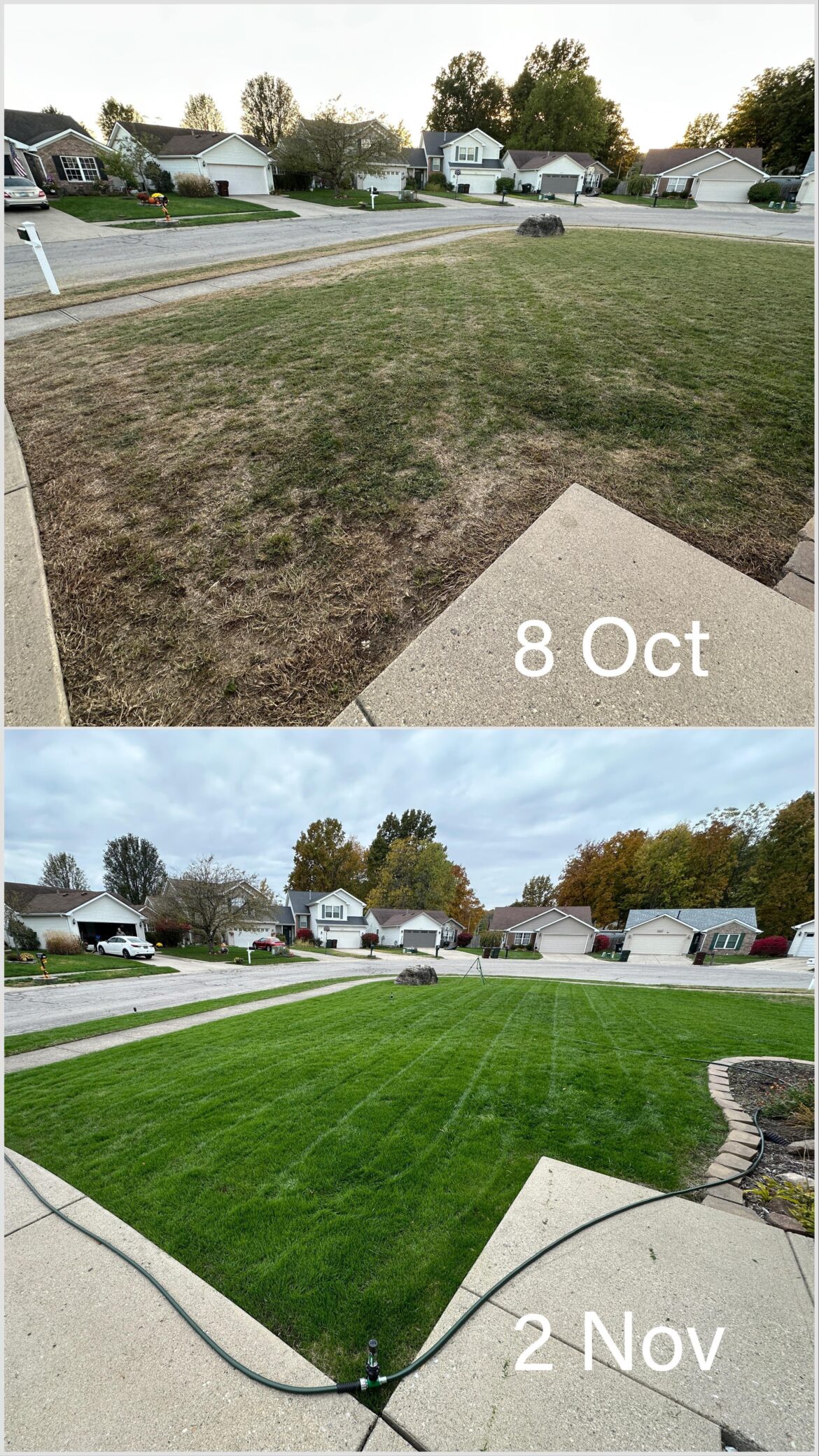 Loving the progress Loving the progress