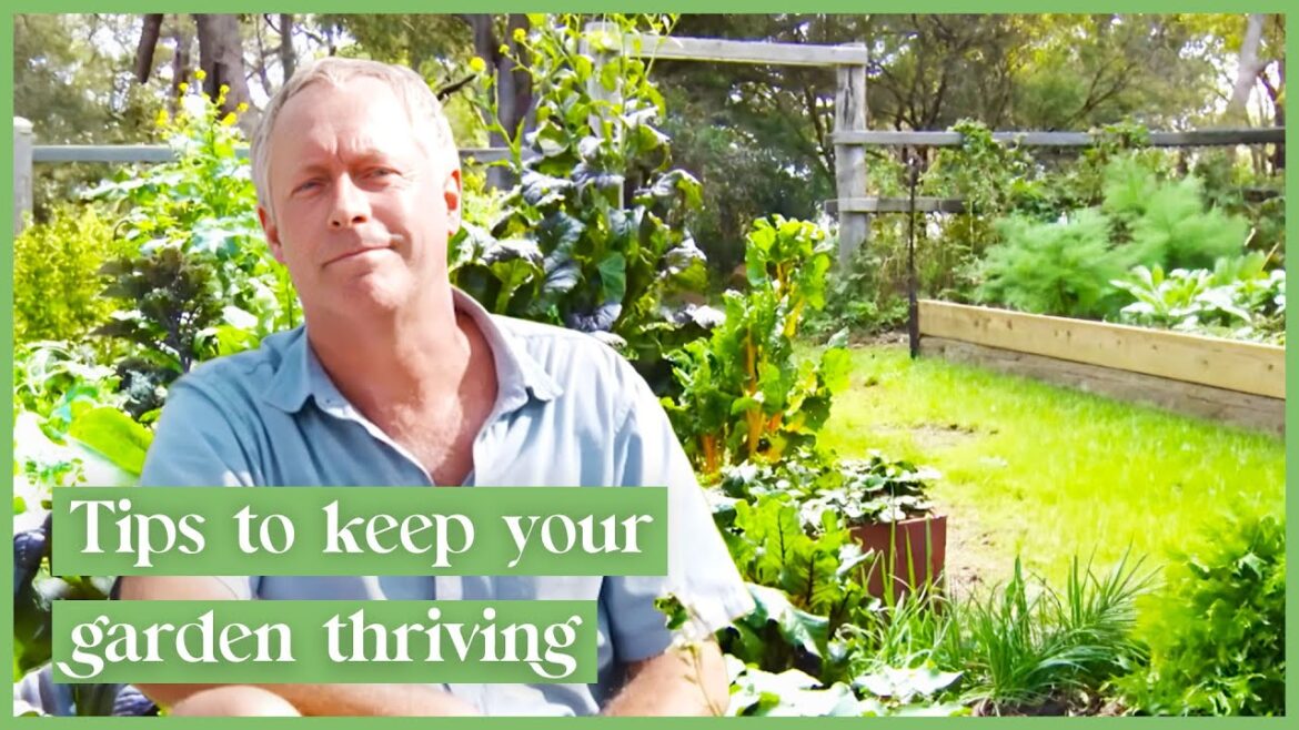 Expert Tips For Your Vegetable Garden & Growing Edible Flowers | The Garden Gurus