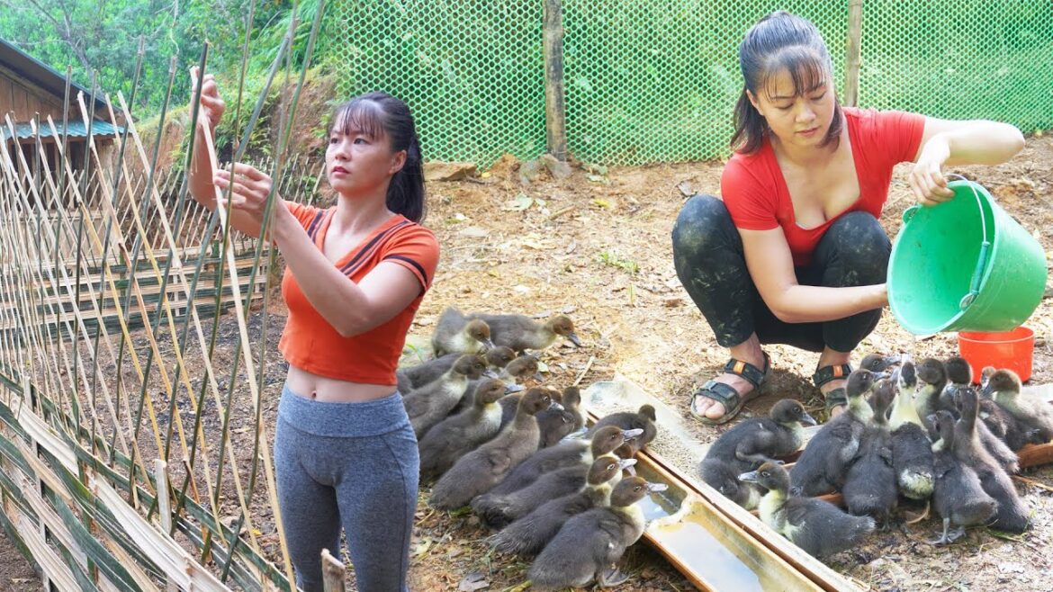 180 Day: Raising Geese, Vegetable Garden, Building, Farm,... Anyone Want To Marry Her?