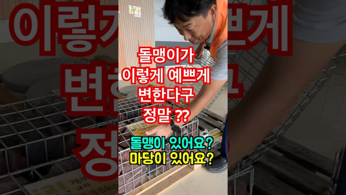 아 지겨운 돌맹이가 예술로 변한다구? 아 지겨운 돌맹이가 예술로 변한다구?