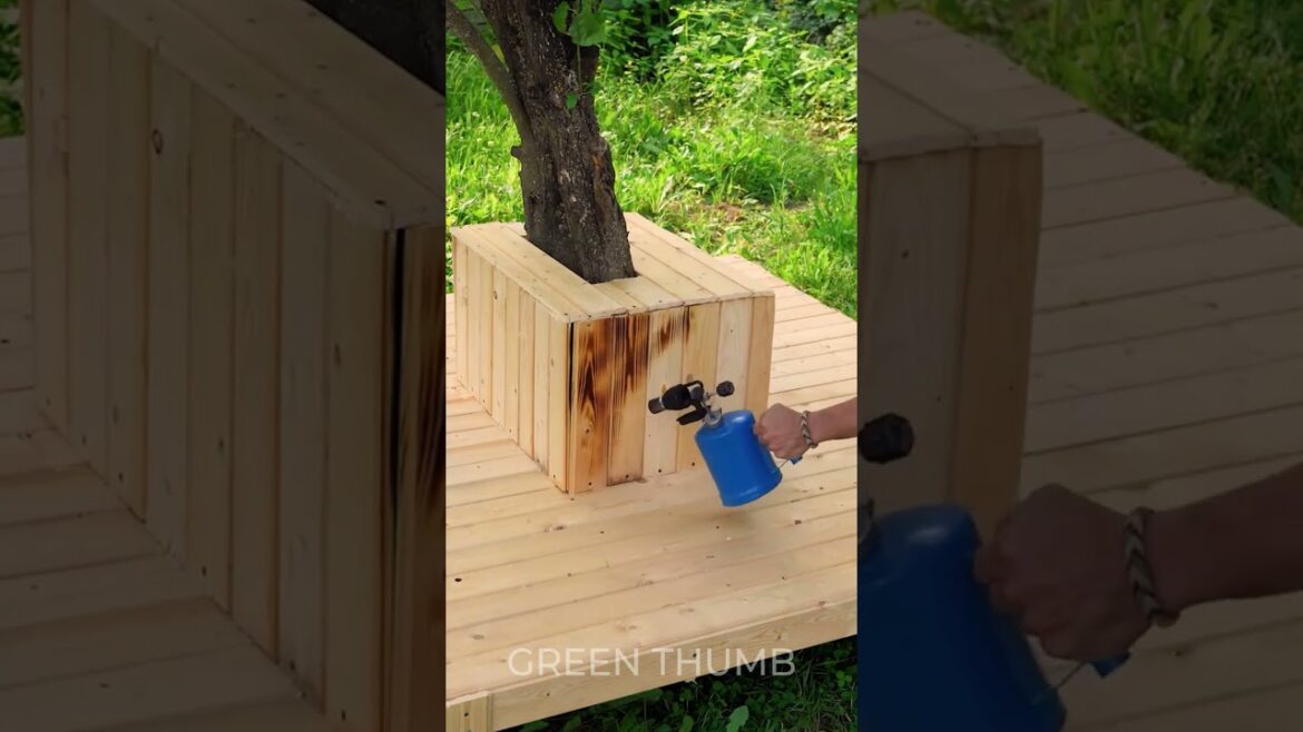 Wood Wonders: Small Backyard Transformations with a Bench 🌳 👩‍❤️‍👨