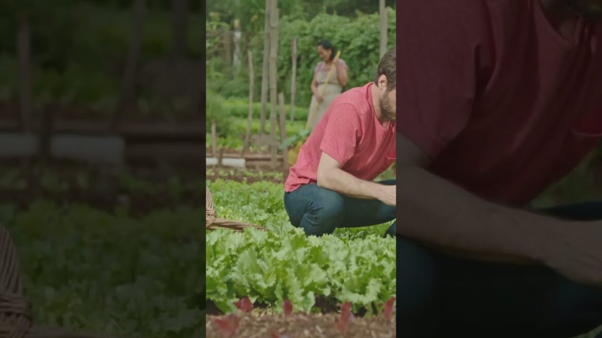 Can a Backyard Garden Feed Your Family? Can a Backyard Garden Feed Your Family?