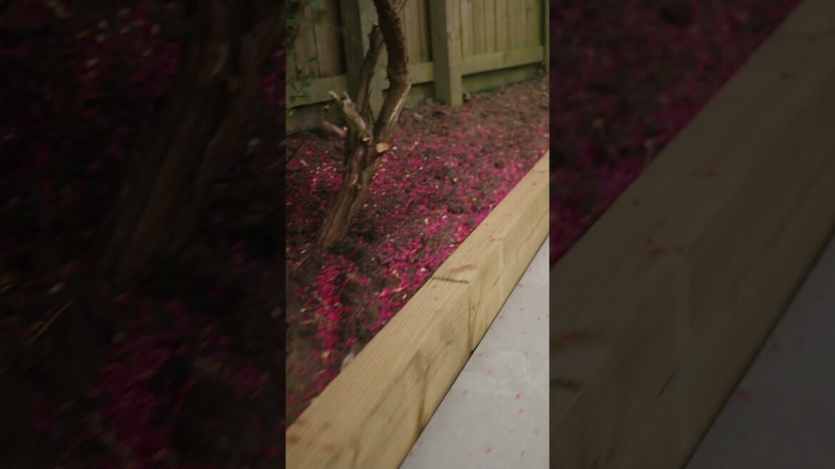 Garden Makeover In Barnstaple | Ne Landscapes #construction #ihavethisthingwithplants #renovation