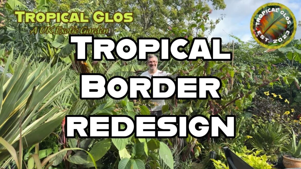 Transforming My UK Tropical Garden: A Border Makeover