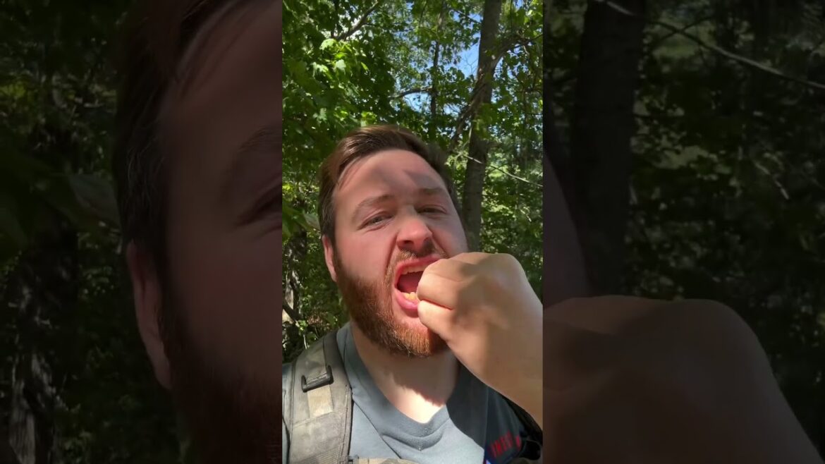 ID Chokecherry Fruit #Shorts ￼￼￼￼