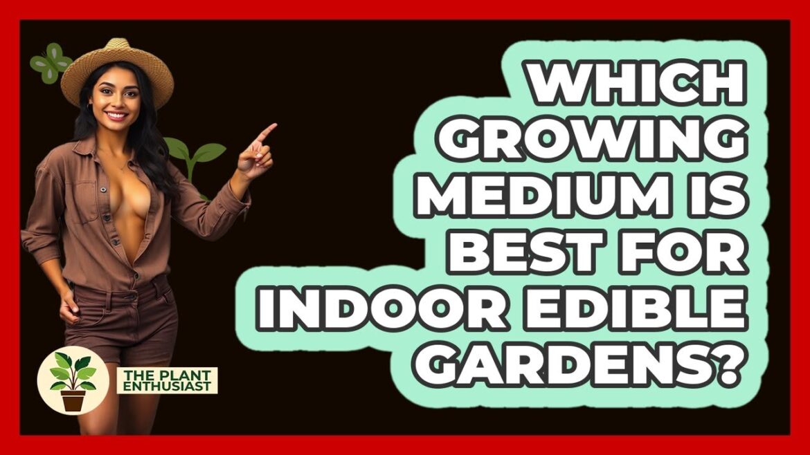 Which Growing Medium Is Best For Indoor Edible Gardens? – The Plant Enthusiast Which Growing Medium Is Best For Indoor Edible Gardens? - The Plant Enthusiast