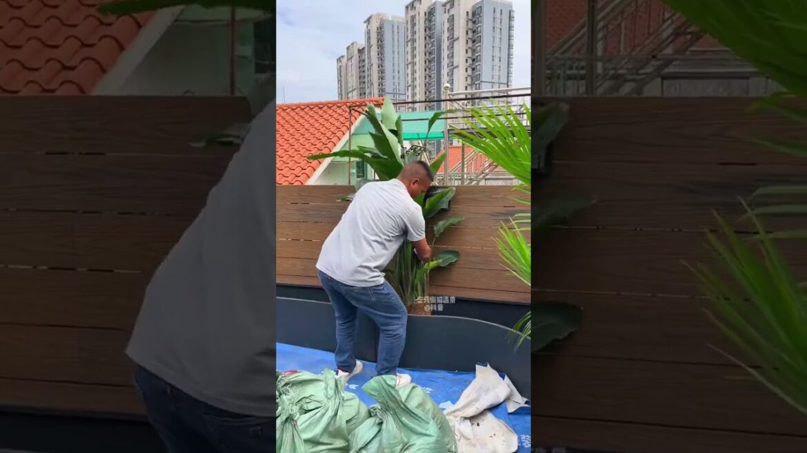 What is the experience of creating a tropical green plant landscape on the terrace? What is the experience of creating a tropical green plant landscape on the terrace?