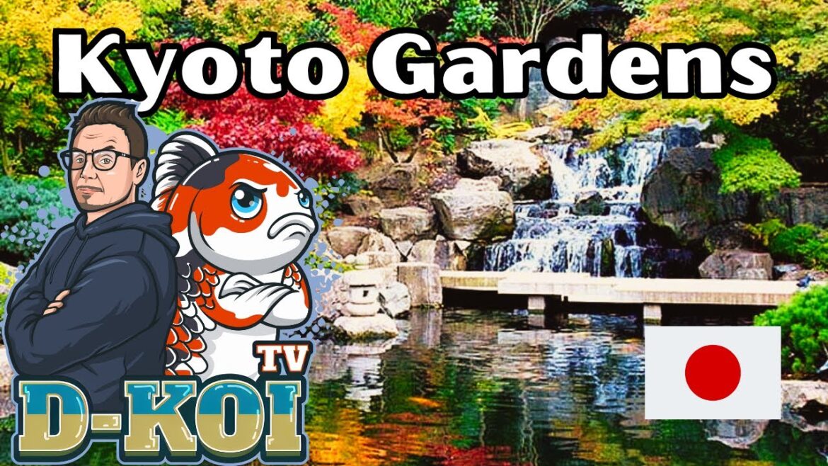 Discover London’s Secret Japanese Garden & Koi Pond