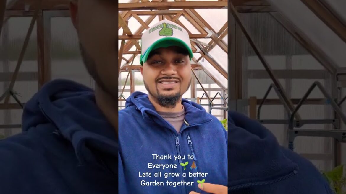 40K Subscribers 🙏🏾🌱Let's Grow a Better Garden Together!  #thankyou  #greentgarden  #gardening