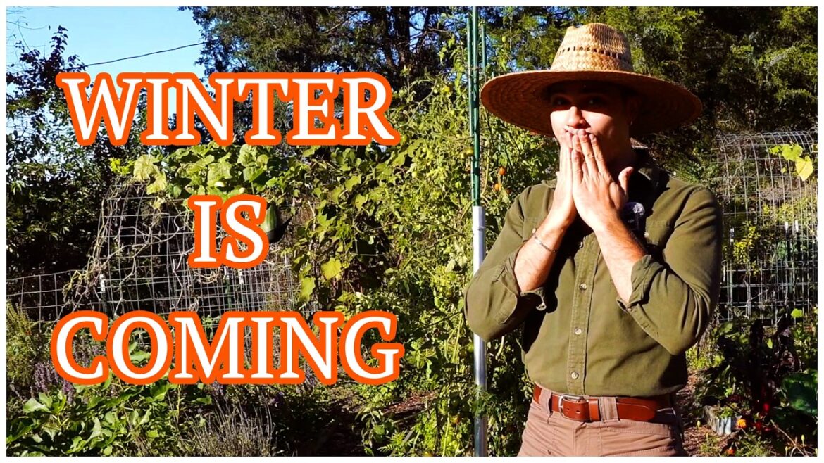 The End of Season Vegetable Garden Tour 2025 The End of Season Vegetable Garden Tour 2025