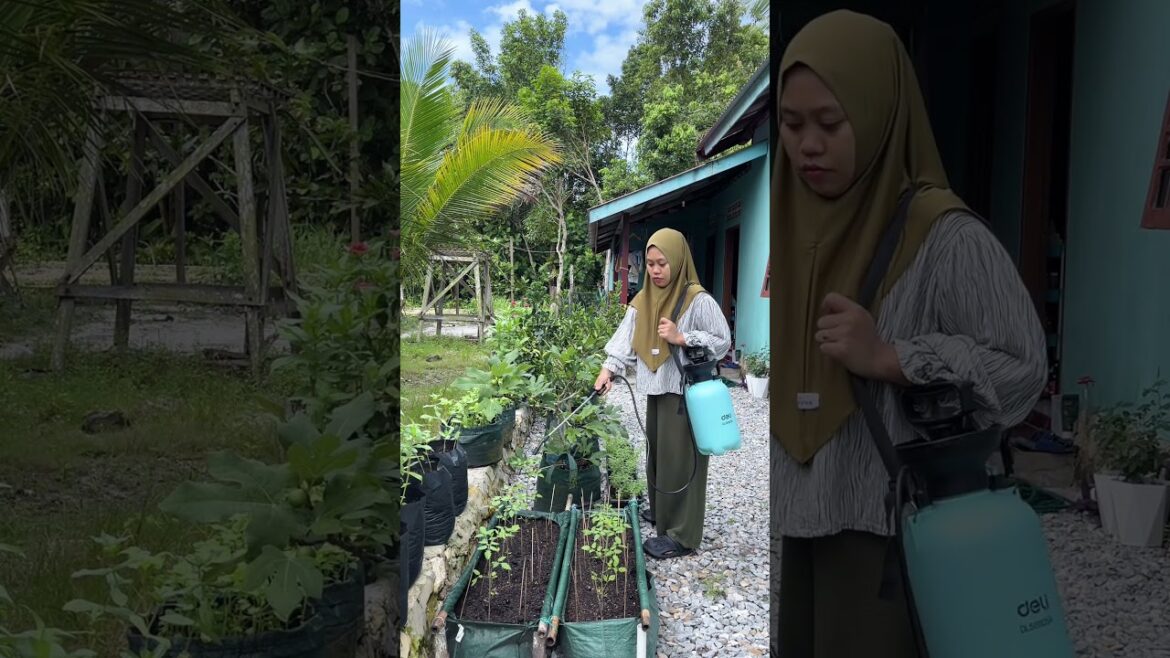 Rekomendasi sprayer buat ibu-ibu ??? #berkebun #gardening #youtubeshorts Rekomendasi sprayer buat ibu-ibu ??? #berkebun #gardening #youtubeshorts