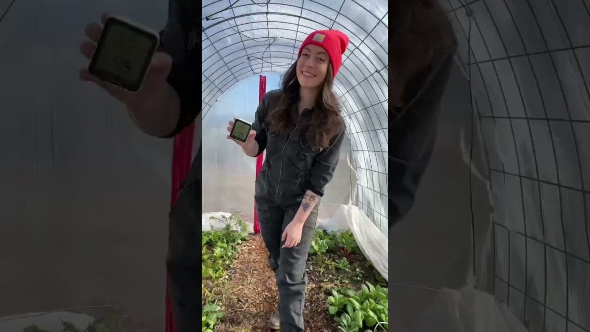 Don't Wait Til Spring To Grow Food - Make This DIY Greenhouse #greenhouses #growyourownfood #garden