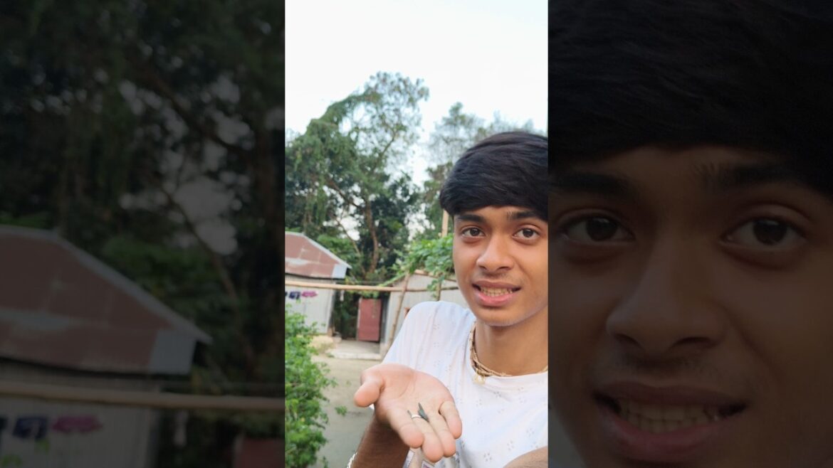 water Bom Gachh Lagiye Dilam..đ¯#shortvideo #shorts #minivlog #gardendesign #vlog #plants water Bom Gachh Lagiye Dilam..đ¯#shortvideo #shorts #minivlog #gardendesign #vlog #plants