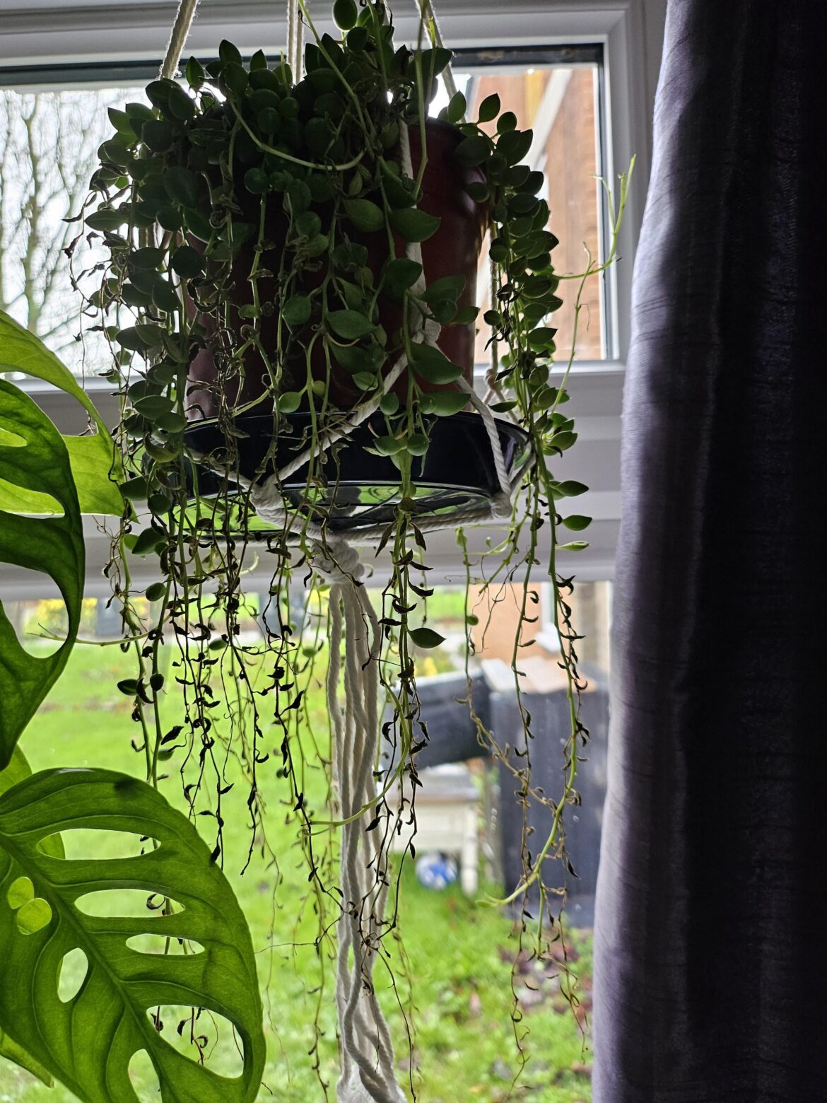 Help please Help please