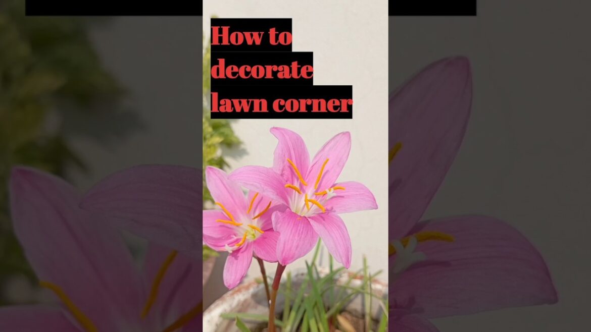 Garden decoration ideas, Beautiful paint scheme for garden #nature #trending #shortvideo #garden Garden decoration ideas, Beautiful paint scheme for garden #nature #trending #shortvideo #garden