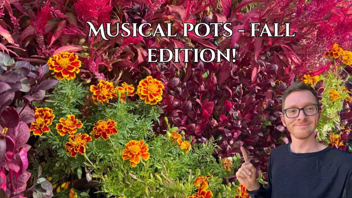 Fall container garden clean up zone 9b //Johns Plant Adventures Fall container garden clean up zone 9b //Johns Plant Adventures