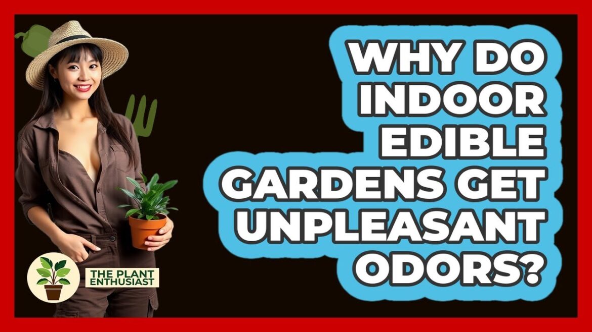 Why Do Indoor Edible Gardens Get Unpleasant Odors? – The Plant Enthusiast Why Do Indoor Edible Gardens Get Unpleasant Odors? - The Plant Enthusiast