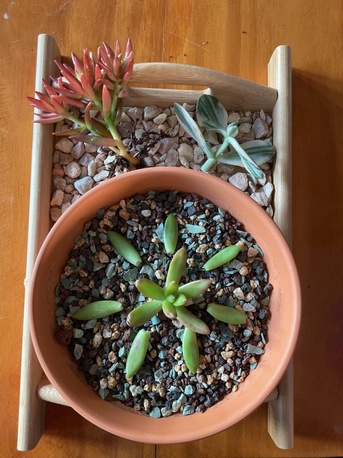 It finally happened!