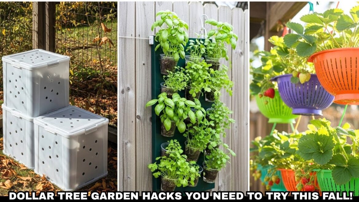 20 Dollar Tree Garden Hacks You Need To Try This Fall! Genius Ideas You'll Love