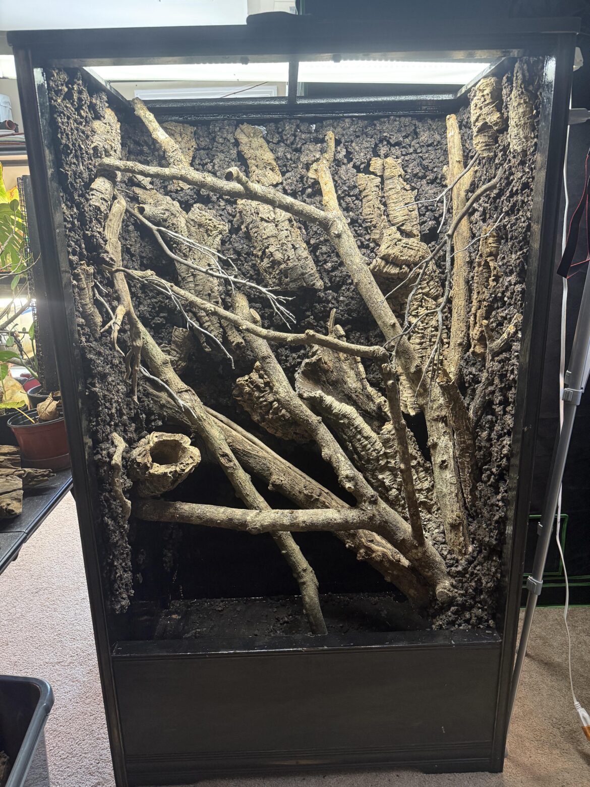 Lighting for tall enclosures