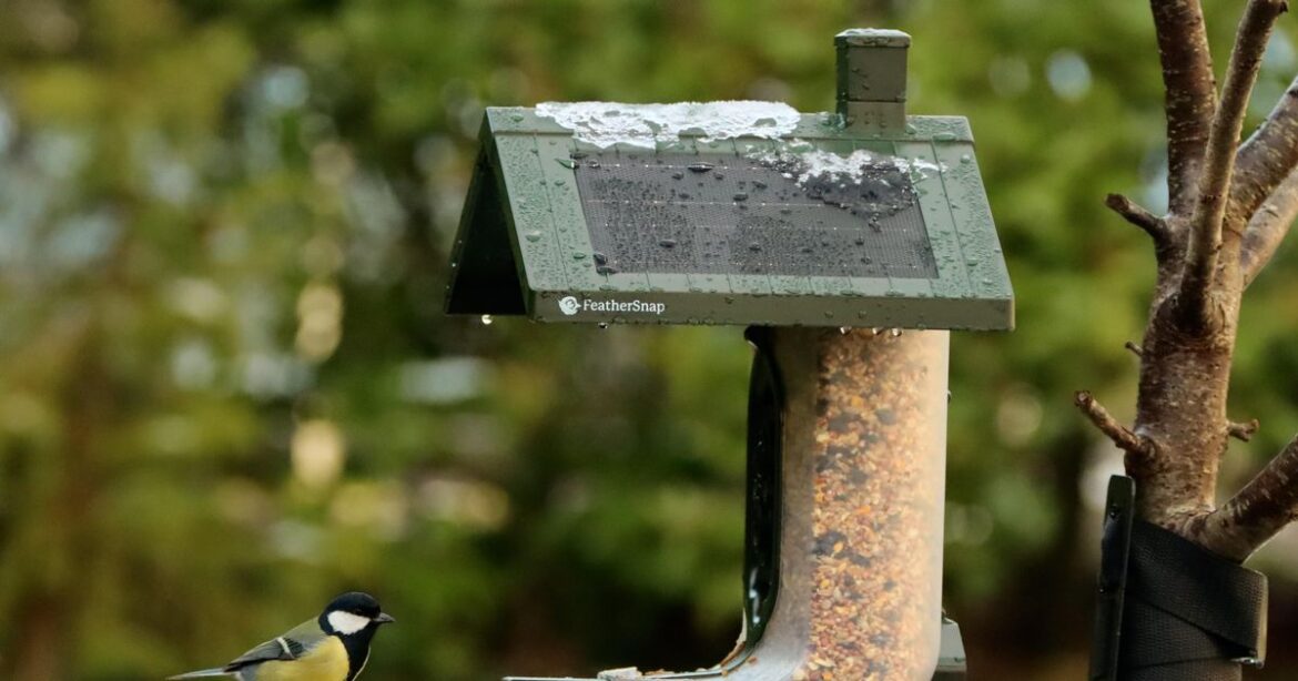 Ornithologist says to leave used coffee grounds in your garden Devon Live