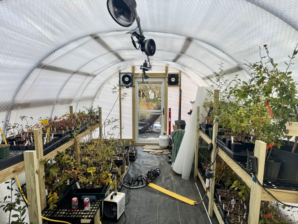 Would folks be interested in a backyard bonsai nursery AMA?