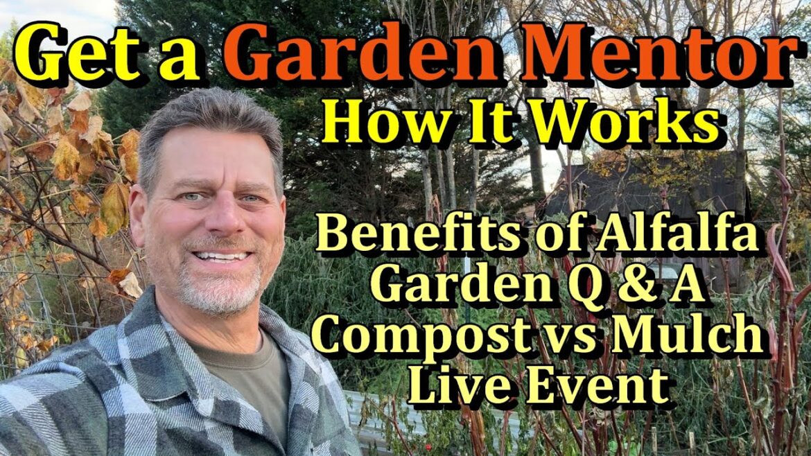 Benefits of Alfalfa in the Garden & Getting a Garden Mentor (What My Perk Garden Events Are Like)