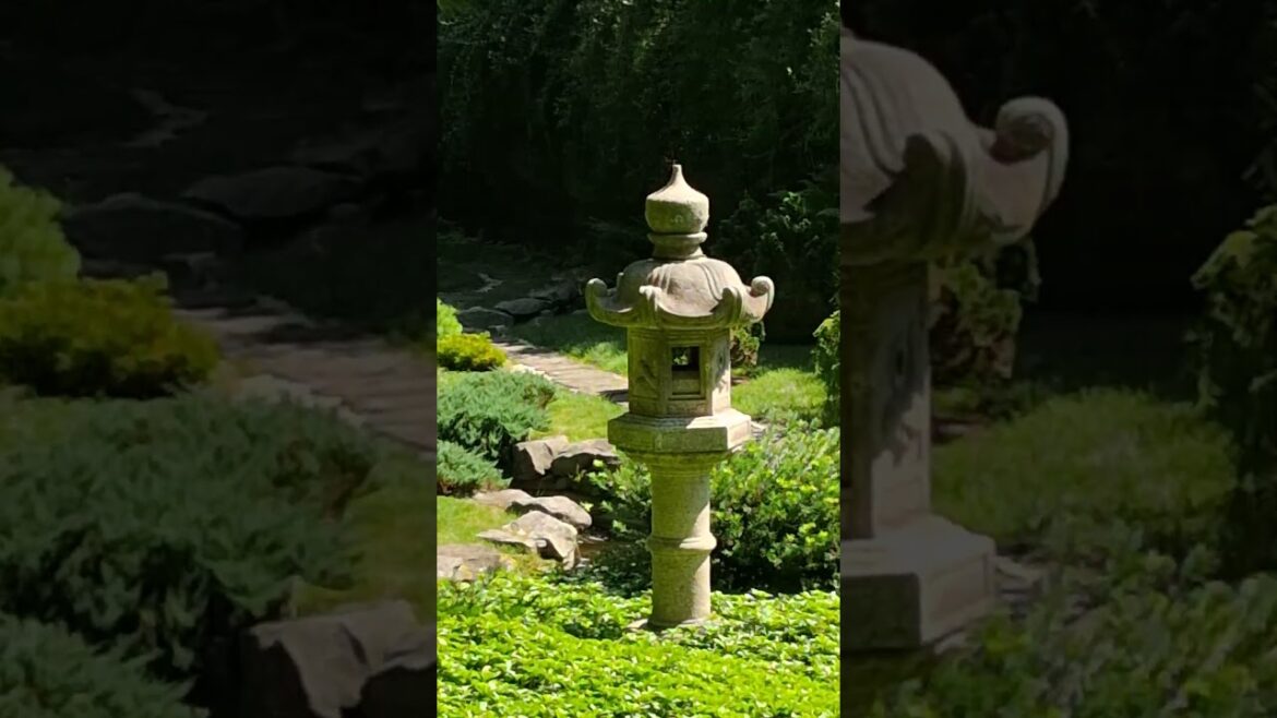 Japanese garden          #gardenscapes  #nature