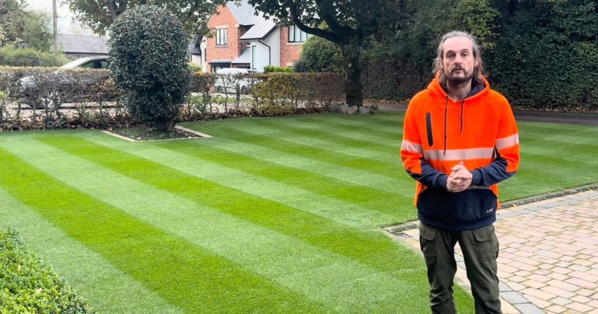 Lawn expert drops three tips to stop your lawn from being ruined in autumn Daily Mirror