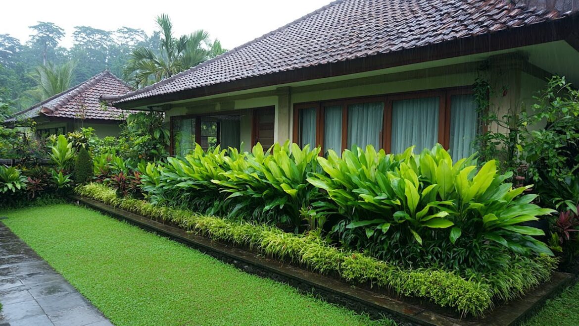 Beautiful Garden Ideas: Inspiring Landscape Design Concepts for the New Year!