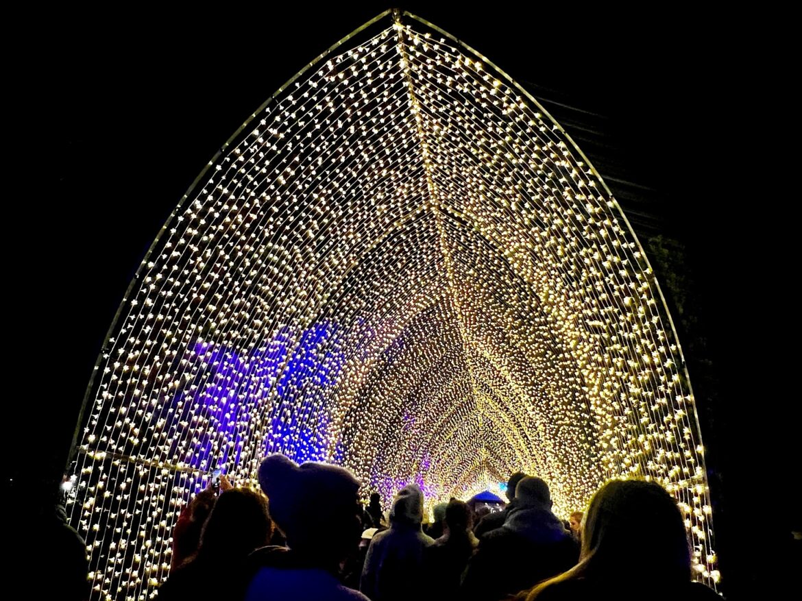 Chicago Botanic Garden’s wintertime wonderland Lightscape returns with fan favorites and new additions