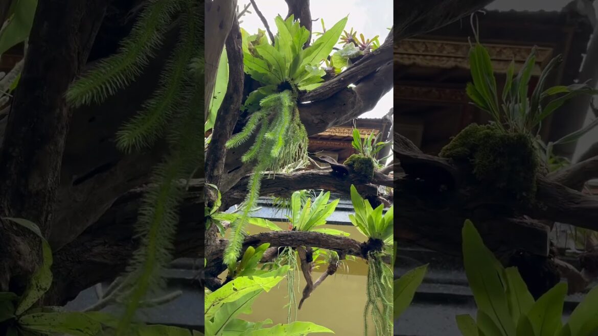 Japanese style landscape #shorts #landscape