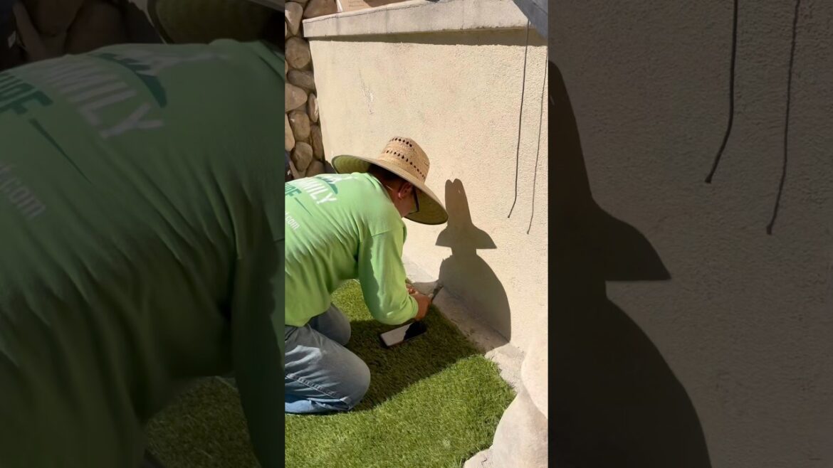 Front yard makeover 🌱 #artificialturf #landscaping