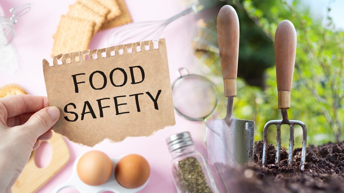 OSU Extension in Mahoning County offering gardening, food safety classes