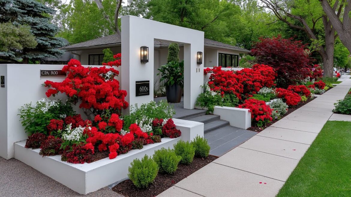 Modern Small Front Yard Transformation Creative Fence & Garden Designs for Ultimate Curb Appeal Modern Small Front Yard Transformation Creative Fence & Garden Designs for Ultimate Curb Appeal