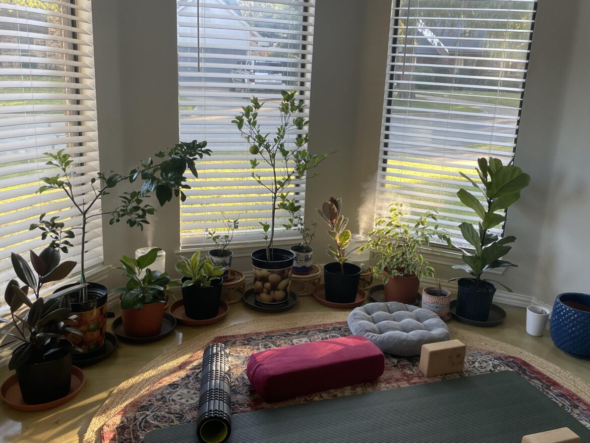My Setup (work in progress)
