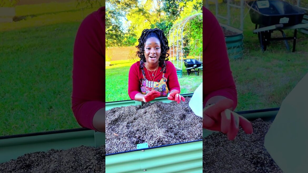 Soil for Raised Beds and Container Gardens #gardening #garden #growyourownfood Soil for Raised Beds and Container Gardens #gardening #garden #growyourownfood