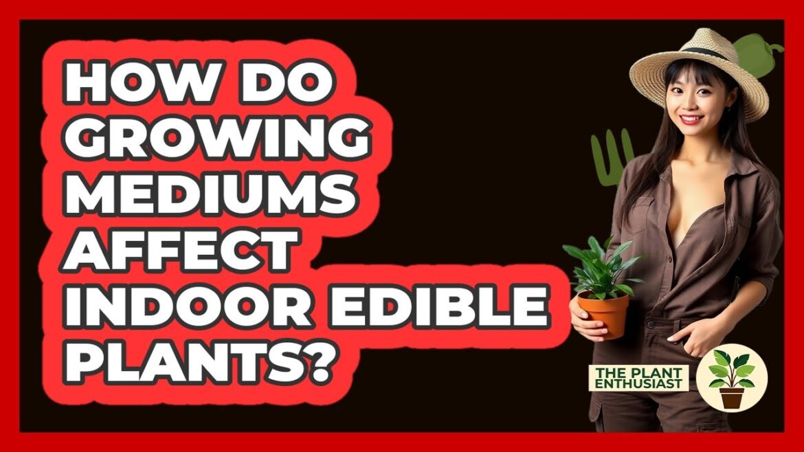How Do Growing Mediums Affect Indoor Edible Plants? - The Plant Enthusiast