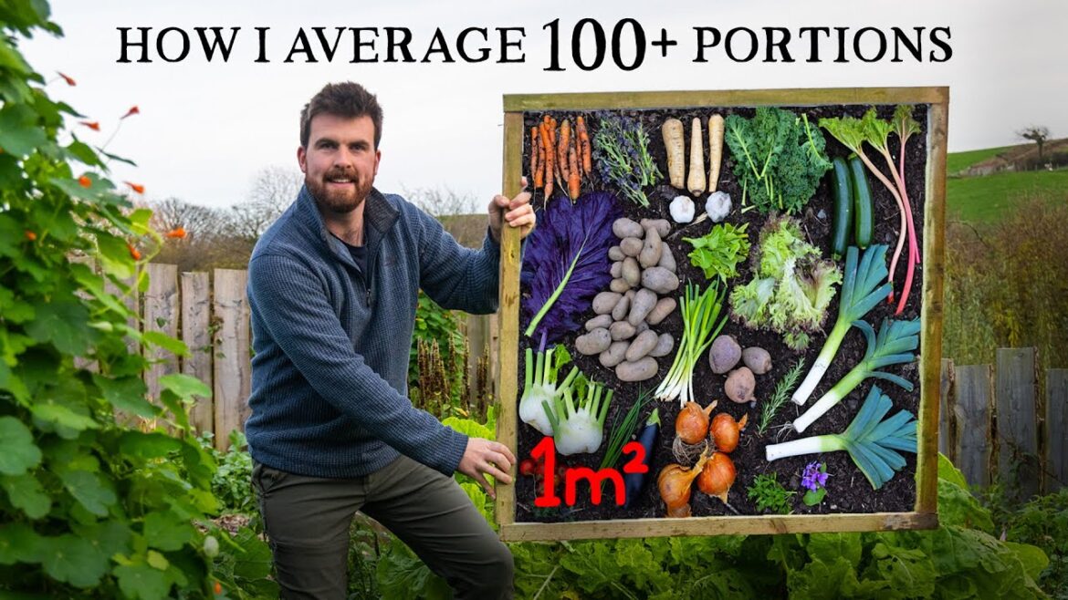 How Much Food You Can Grow Per 1m² (10ft²)