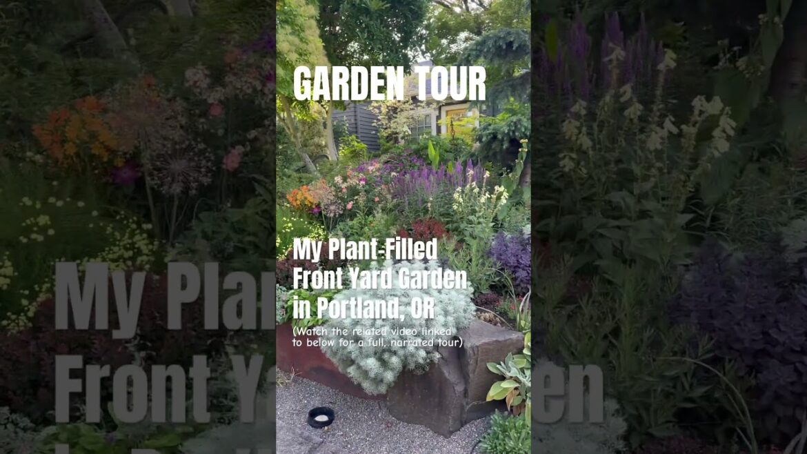Garden Tour—My Plant-Filled Front Yard Garden in Portland #gardentour #gardening #garden Garden Tour—My Plant-Filled Front Yard Garden in Portland #gardentour #gardening #garden