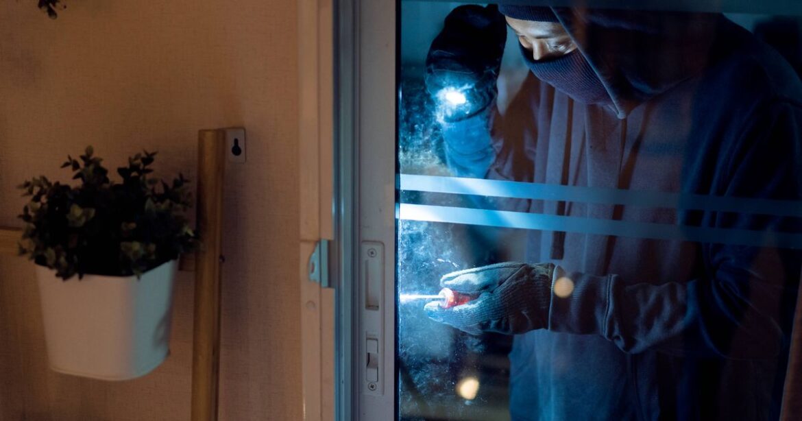 Private investigator names the garden items indicating potential burglary threats Dublin Live