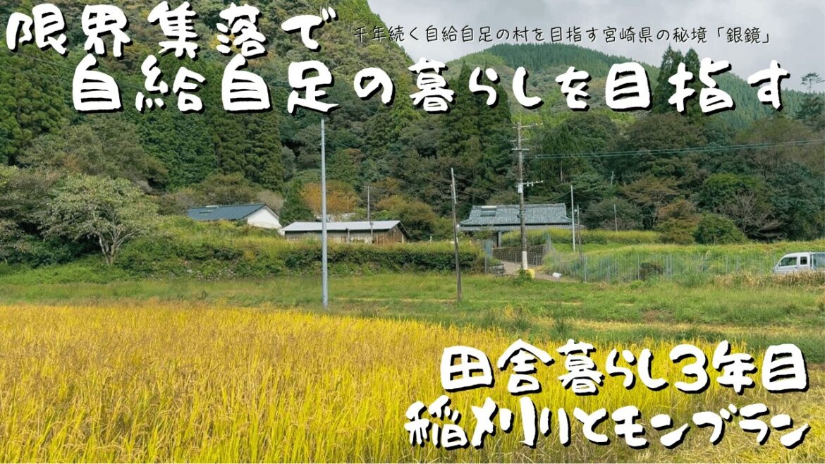 【限界集落からの挑戦|第二章】秋の恵みフルコース！稲刈り・モンブラン・柿酢で味わう銀鏡