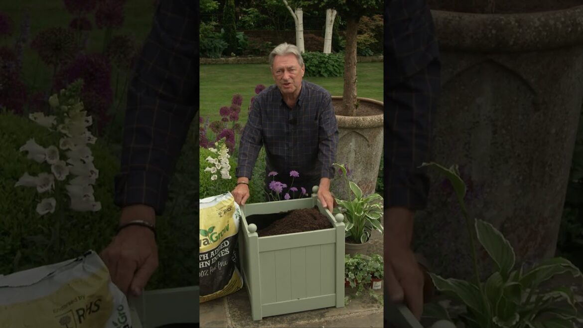 The Cottage Garden in a Container! 🏡 #gardening The Cottage Garden in a Container! 🏡 #gardening