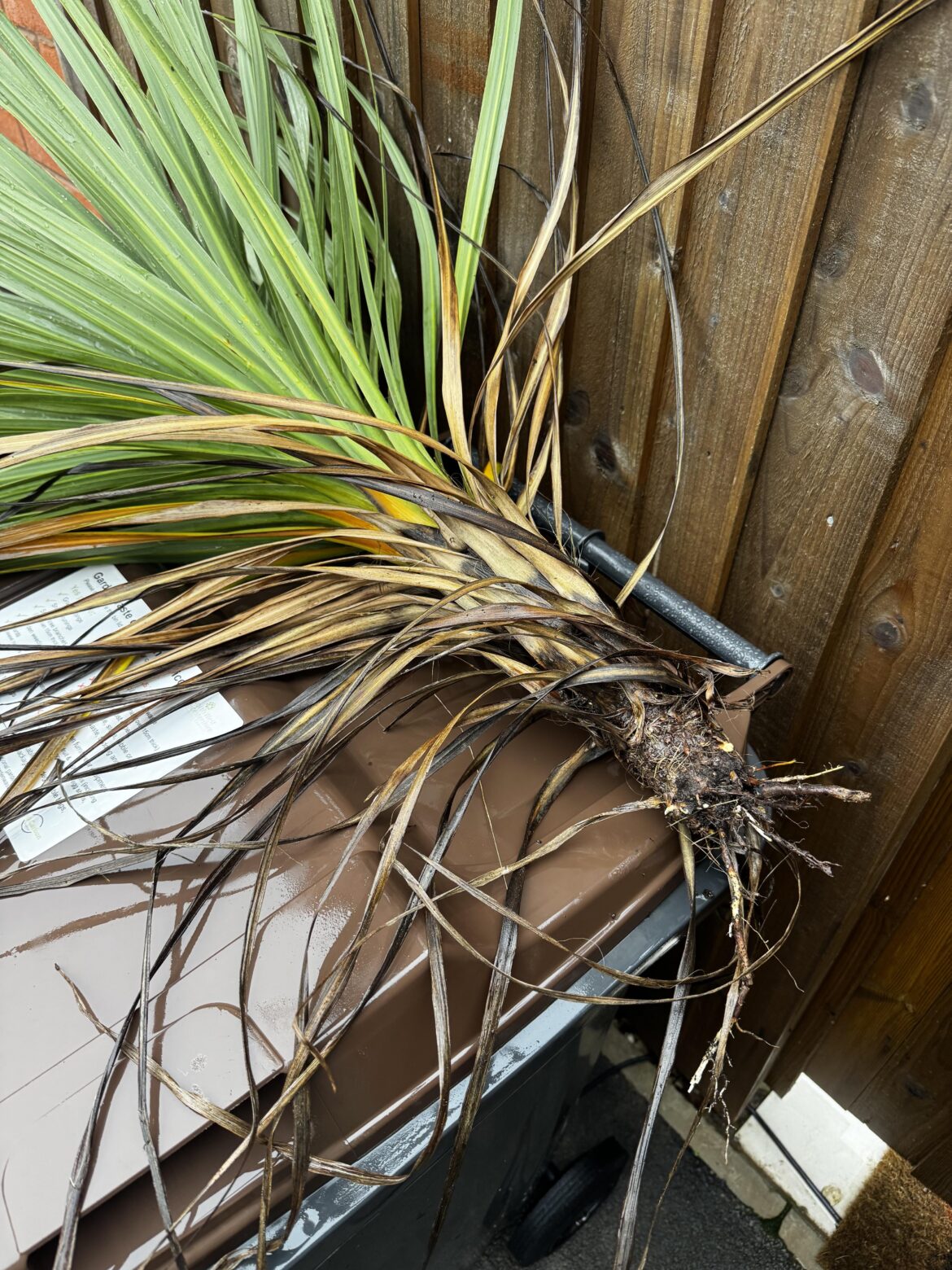 Can this be saved?