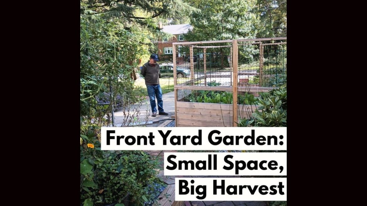 Front Yard Kitchen Garden Tour: Small Space, Big Harvest Front Yard Kitchen Garden Tour: Small Space, Big Harvest