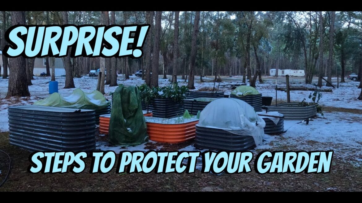What's the REAL Secret Behind WINTER Garden Protection?