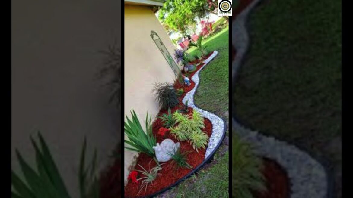Magical Gardens Look Like They’re From Another Planet | Low Cost Garden Designs |@leaf.loom_byali