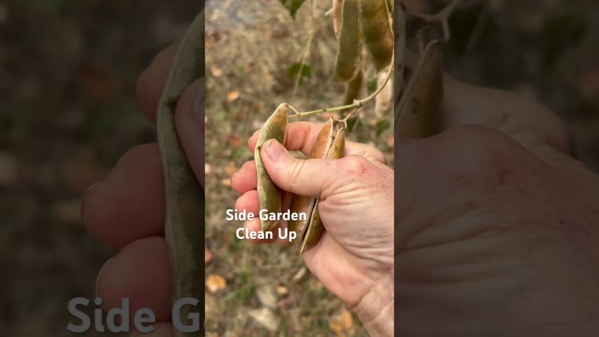 Got this chore done! #garden  #gardeningvideos